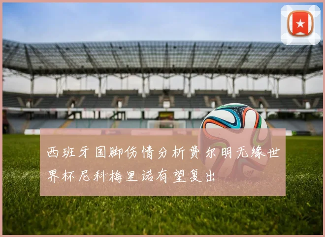 西班牙国脚伤情分析费尔明无缘世界杯尼科梅里诺有望复出