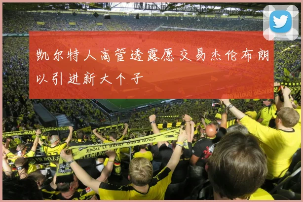 凯尔特人高管透露愿交易杰伦布朗以引进新大个子
