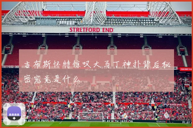 吉布斯怀特惊叹大马丁神扑背后秘密究竟是什么