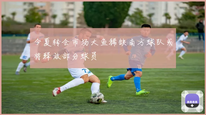 今夏转会市场大鱼稀缺南方球队或将释放部分球员